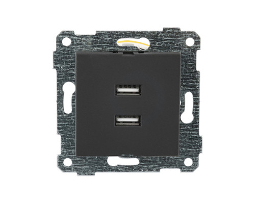 Rita - Розетка 2xUSB Type A, черный мат