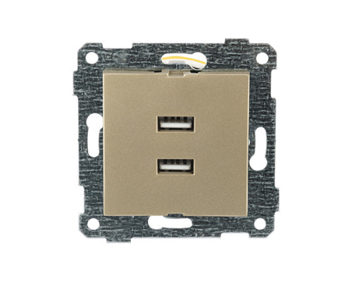 Rita - Розетка 2xUSB Type A, золото доре