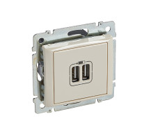 Valena - Розетка с 2-мя коннекторами USB, сл.кость
