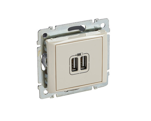 Valena - Розетка с 2-мя коннекторами USB, сл.кость