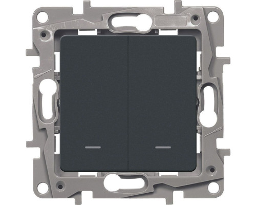 Выкл 2кл с подсветкой Ант Etika