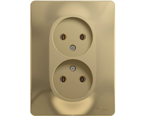 Розетка 2-местная, без заземления без шторок с рамкой Schneider Electric Glossa GSL000420 Титан - GS