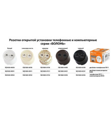 Розетка двойная компьютерная RJ45 белая «Болонь» TDM