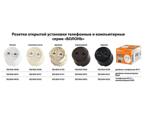 Розетка двойная компьютерная RJ45 белая «Болонь» TDM