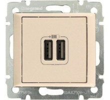 Valena - Розетка с 2-мя коннекторами USB, сл.кость (инд. упаковка)