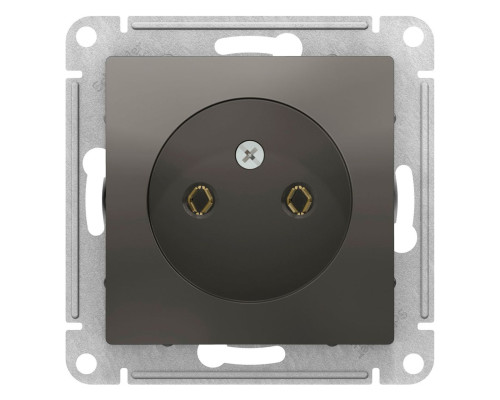 Розетка без заземления без шторок Schneider Electric AtlasDesign ATN000941 Сталь - ATN000941