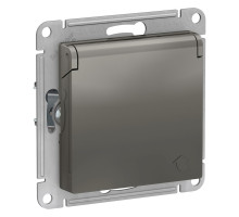 Розетка с заземлением со шторками с крышкой Schneider Electric AtlasDesign ATN000946 Сталь - ATN0009