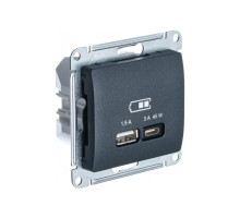 Розетка USB Schneider Electric Glossa GSL000729 Антрацит - GSL000729