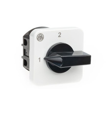Переключатель BS 16 55 U, 2P, 20A, тип 1-2 (90°), 2NO на 1_2, на дверь, фронт IP40 | арт.EAC602522R