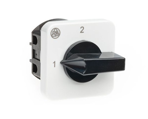 Переключатель BS 16 55 U, 2P, 20A, тип 1-2 (90°), 2NO на 1_2, на дверь, фронт IP40 | арт.EAC602522R