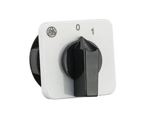 Переключатель BS 16 02 U, 2P, 20A, тип 0←1, 2NO на 1, на дверь, фронт IP40 | арт.EAC610582