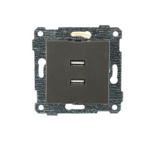 Rita - Розетка 2xUSB Type A, дымчатый