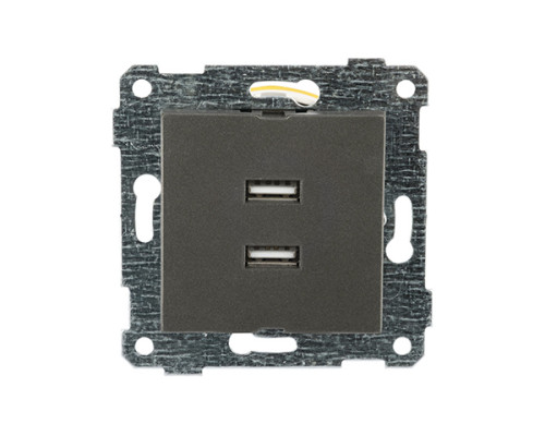Rita - Розетка 2xUSB Type A, дымчатый
