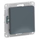 Переключатель перекрестный Schneider Electric AtlasDesign ATN000771 Грифель - ATN000771