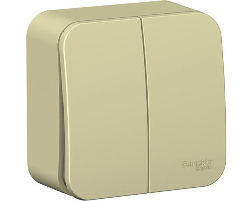 BLNVA105017 BLANCA О/У 2-клавишный ВЫКЛЮЧАТЕЛЬ (cх.5) ИЗОЛ.ПЛ., 10А, 250B,БЕЖЕВЫЙ